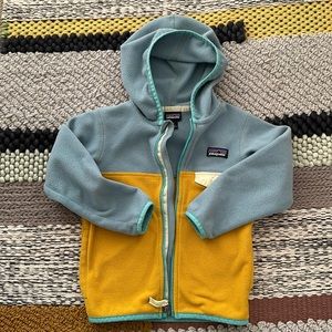 Patagonia Micro-D Snap T Hoodie